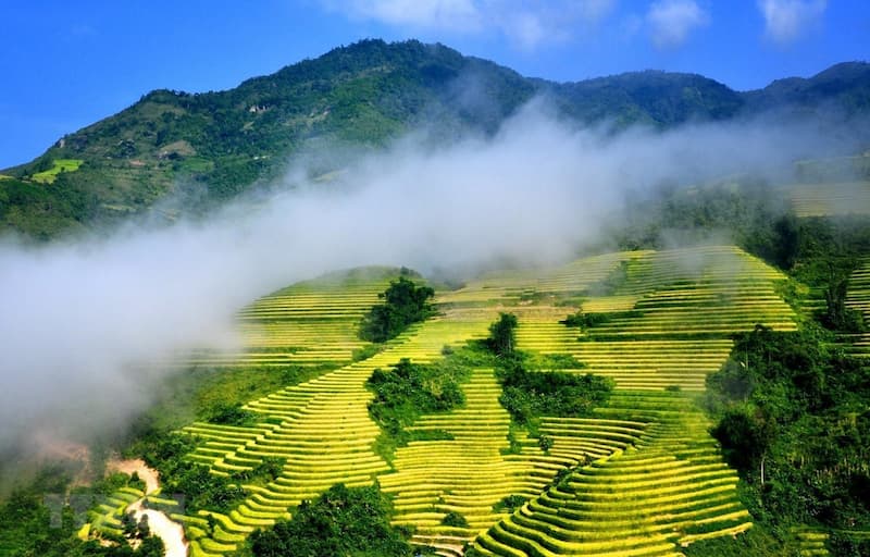 Sapa - Ruộng Bậc Thang Hùng Vĩ